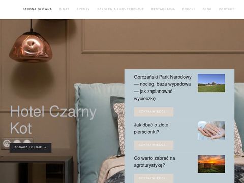 Hotelczarnykot.com.pl