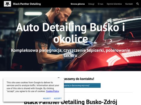 BlackPantherDetailing.pl - auto detailing busko