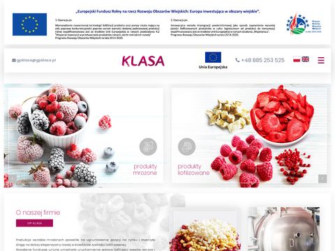Gpklasa.pl - producent owoców lubelskie