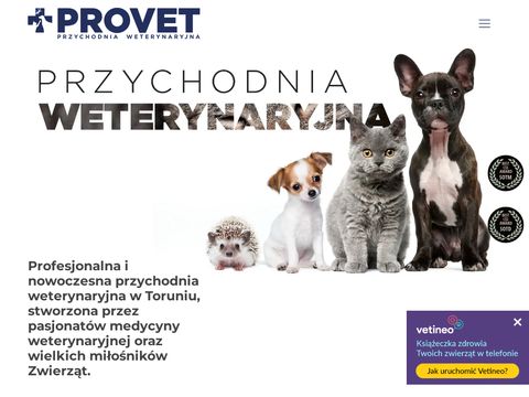 Provet.torun.pl weterynarz