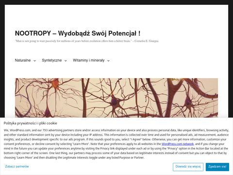 Nootropy.wordpress.com - blog o suplementach