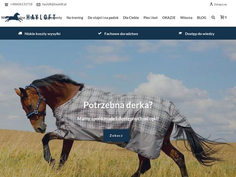 Hayloft.pl sprzęt jeździecki dla konia