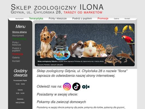 Sklep zoologiczny Gdynia