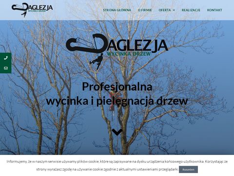 Daglezja-wycinkadrzew.pl Kraków