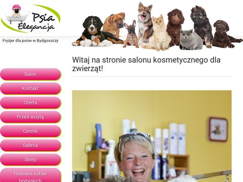 Psia Elegancja - pielęgnacja psów w Bydgoszczy