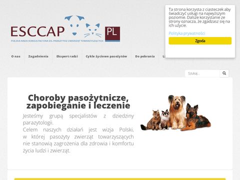 Esccap.pl stowarzyszenie