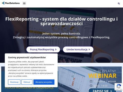 Flexisolutions.pl systemy IT dla firm