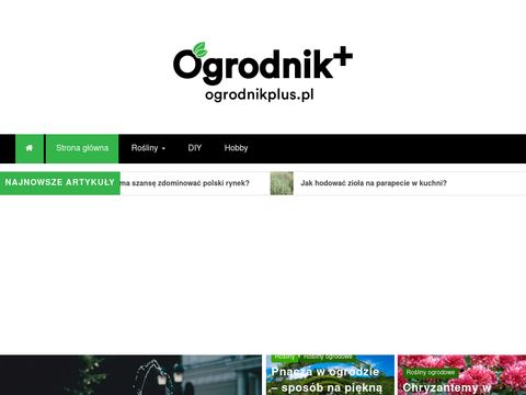 Hortus-ogrody.com.pl zakładanie ogrodów Legionowo