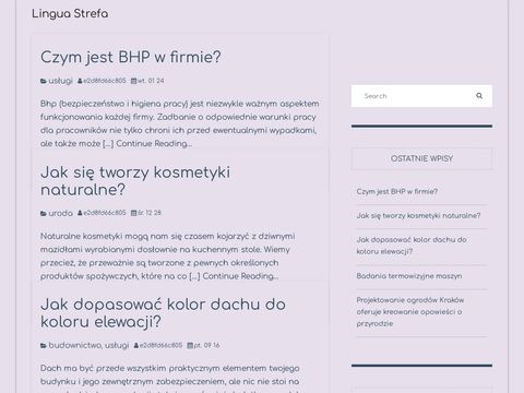 Linguastrefa.pl angielski lekcje indywidualne