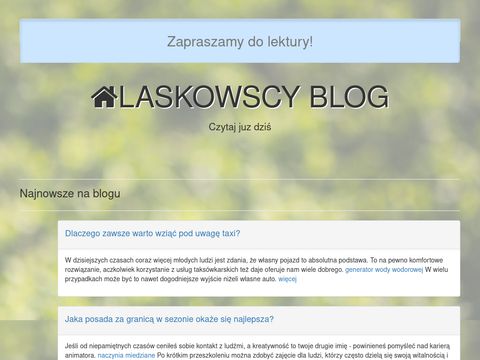 Laskowscydesign.pl dekoracje do domu