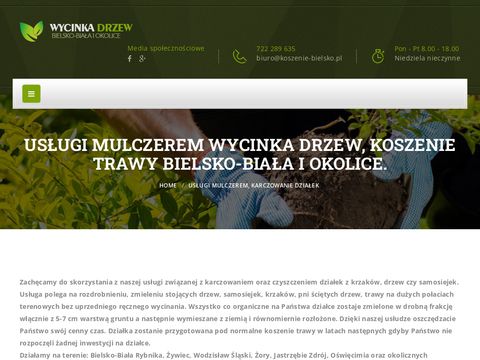 Koszenie-bielsko.pl trawy wycinka drzew