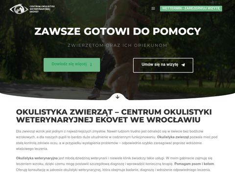 Cowe.pl leczenie oczu psa Wrocław