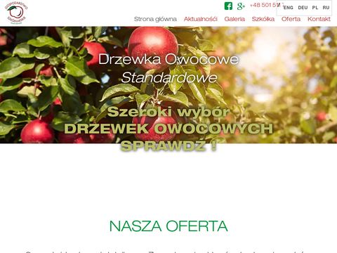 Drzewkaowocowe.com sadzonki jabłoni