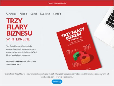 Trzyfilarybiznesu.pl promowanie firmy w internecie