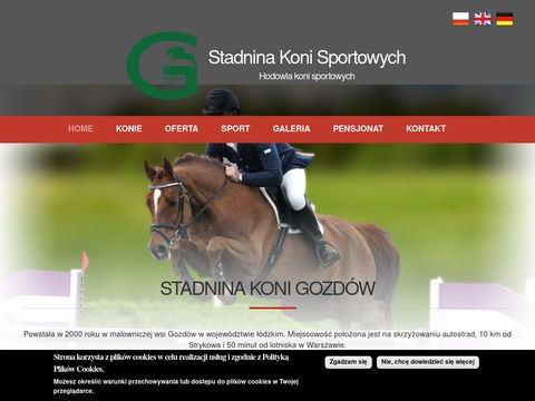 Skgozdow.pl konie sportowe skokowe - stadnina