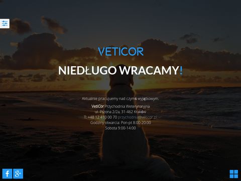 Veticor.pl gabinet weterynaryjny Olsza Kraków