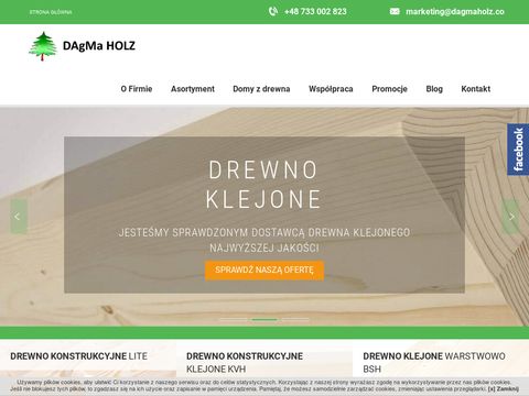 Dagmaholz.com.pl domy z drewna wykonawstwo