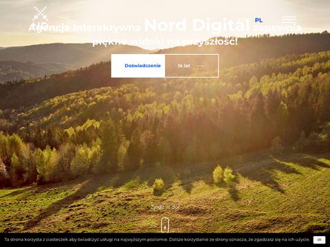 Norddigital.com reklama w internecie
