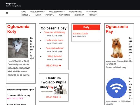 Kotypsy.pl ogłoszenia
