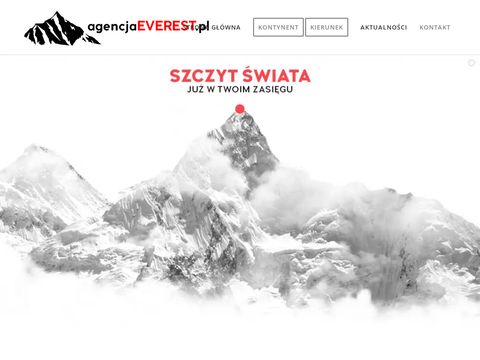 Everest agencja interaktywna - reklama Kraków