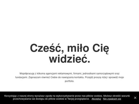 Emilsowinski.com.pl web print designer