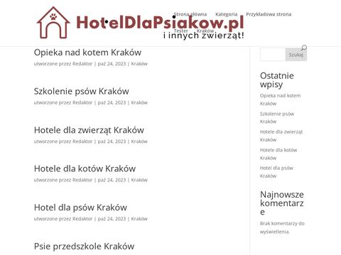 Hoteldlapsiakow.pl