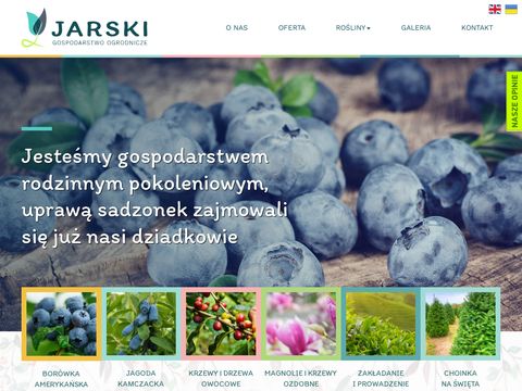 Zielonykrzaczek.pl - sadzonki krzewów