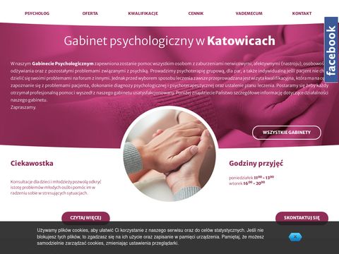 Psycholog.lekarzekatowice.pl psychoterapia par