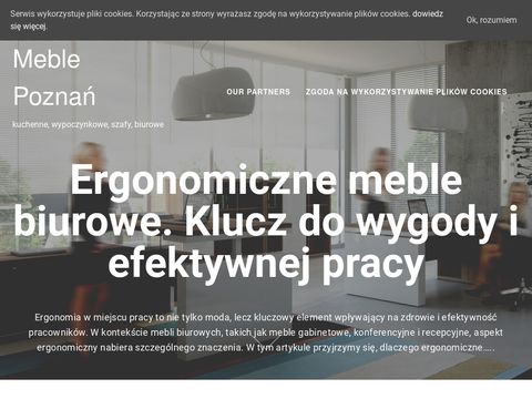 Meble-poznan.pl na wymiar