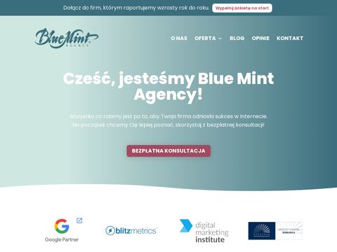 Blue-mint.pl agency