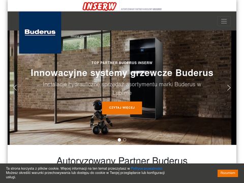 Buderus-inserw.pl