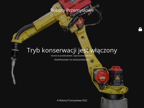 Workbot.pl roboty paletyzujące