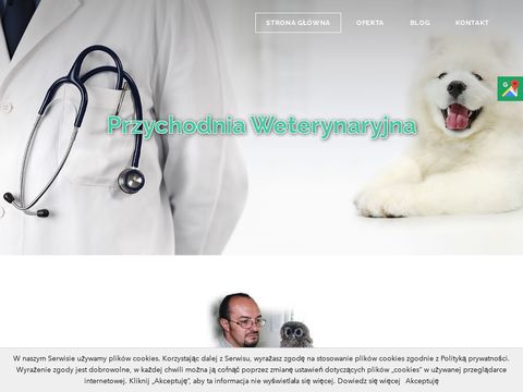 Weterynarzchorzow.com chirurgia zwierzęca
