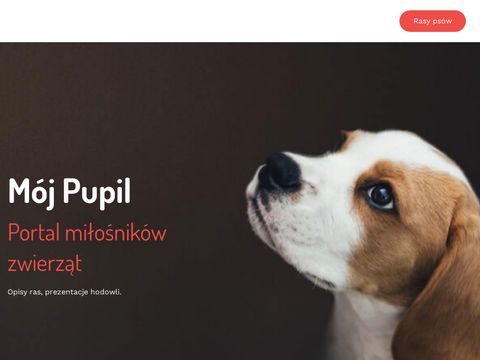Mojpupil.pl - portal wielbicieli zwierząt zaprasza
