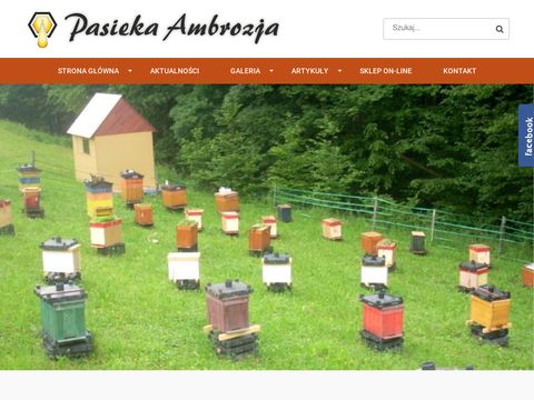 Pasiekaambrozja.pl miód pszczeli
