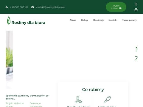 Roslinydlabiura.pl utrzymanie zieleni