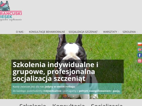 Francuskipiesek.pl szkolenie psa w Katowicach