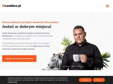 Lembicz.pl - skuteczny marketing