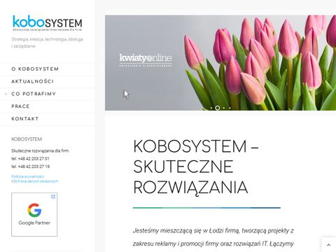 Kobosystem.pl agencja interaktywna