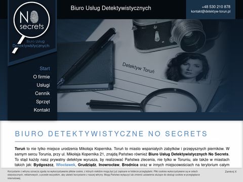 Detektyw-torun.pl - No Secrets prywatny detektyw
