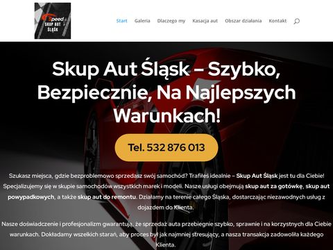 Skupaut24.slask.pl - profesjonalna obsługa