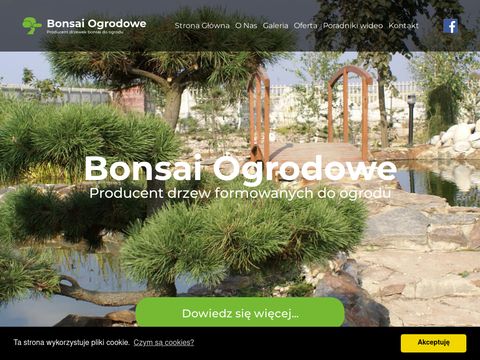Bonsaiogrodowe.pl drzewka do ogrodu