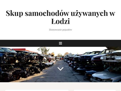 Autoguziec auto skup Łódź