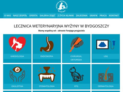 Lecznicawyzyny.pl specjalista leczenia fretek