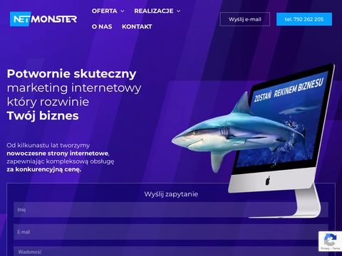 Netmonster.pl strony internetowe Poznań