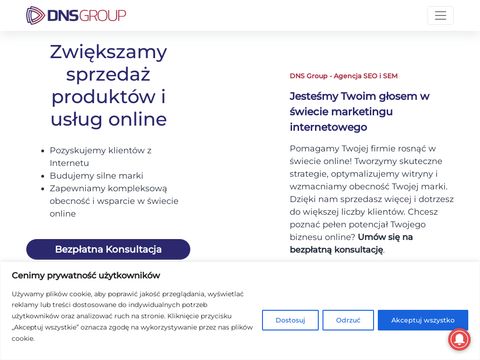 Dnsgroup.pl agencja interaktywna Warszawa