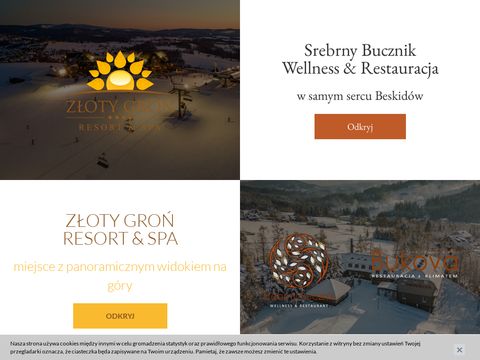 Hotelzlotygron.pl restauracja w górach