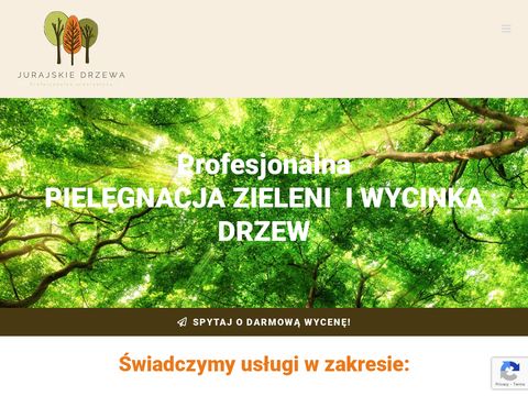 Jurajskiedrzewa.pl profesjonalna wycinka