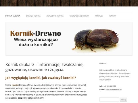Korniki-drewno.pl Zwalczanie, biologia, informacje