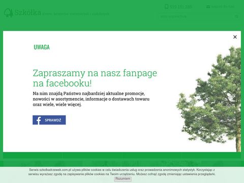 Szkolkadrzewek.com.pl krzewy ozdobne